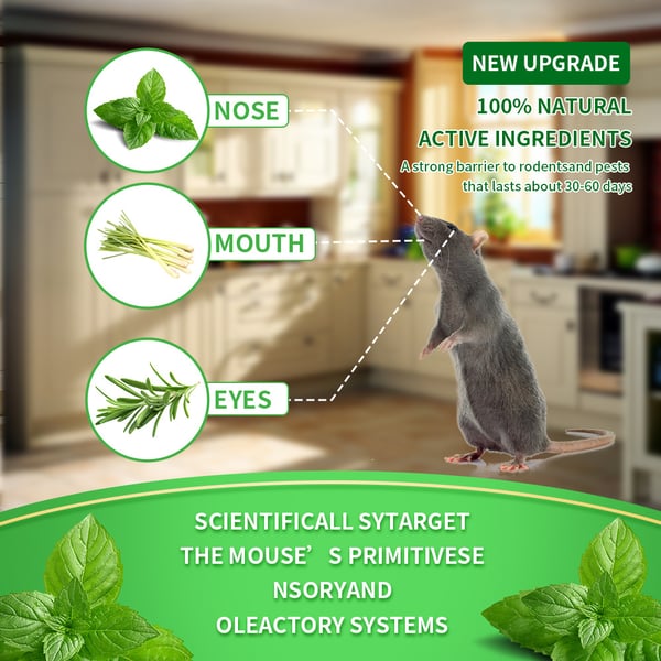 12 Pack Peppermint Pest Repellent Balls - Mice Rats Spiders Gone!