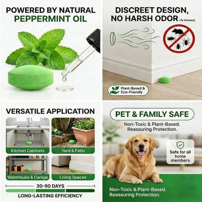 12 Pack Peppermint Pest Repellent Balls - Mice Rats Spiders Gone!