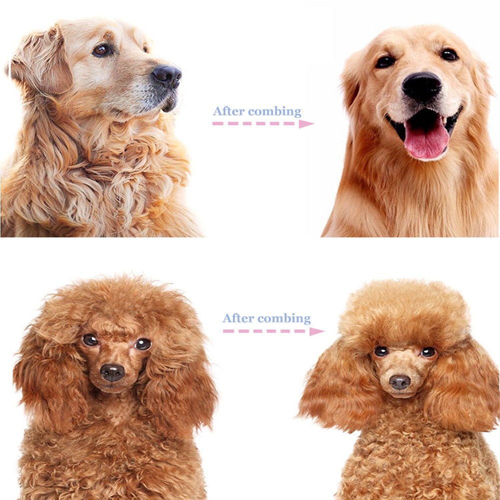 2-in-1 Pet Dematting & Deshedding Rake